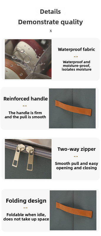 12-Grid Foldable Shoe Box – Breathable Fabric Wardrobe Organiser with Clear Lid